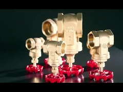 Manobra de ferro fundido Fêmea X Fêmea 4 polegadas válvula de porta de latão